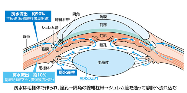 房水の流れと眼圧の仕組みを説明したイラスト