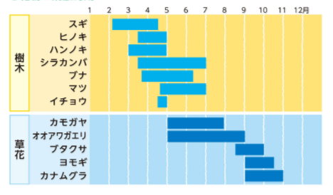 花粉症を引き起こす植物の発生期間を説明したイラスト